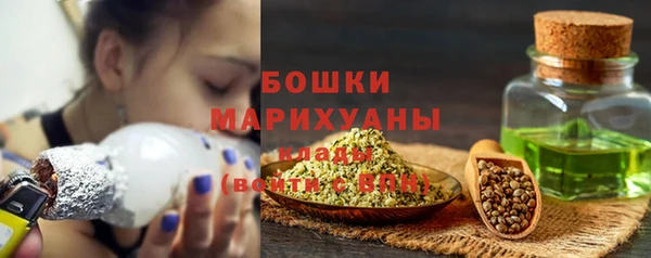 сатива Богородицк