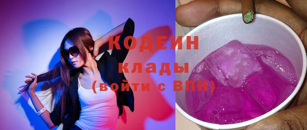 гашик Пестово