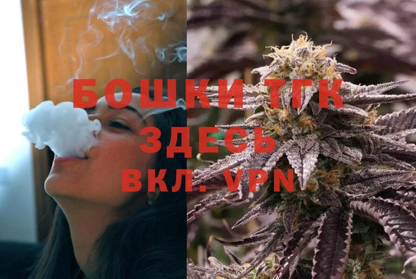 гашик Белоозёрский