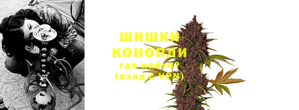 стаф Богданович