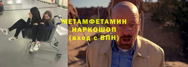 стаф Богданович