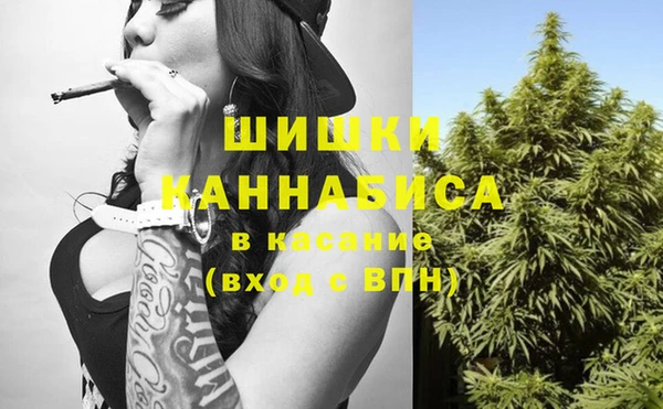 стаф Богданович