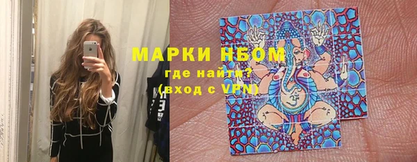 сатива Богородицк