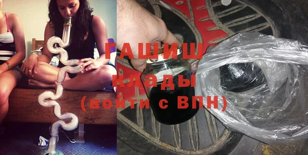 стаф Богданович