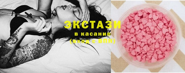стаф Богданович