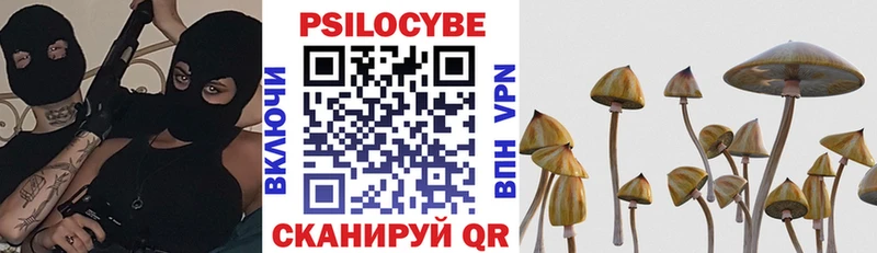 Псилоцибиновые грибы GOLDEN TEACHER Богородск